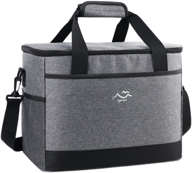 Handheld Insulated Tote Bag